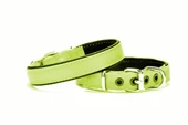 Yumuşak Doku Köpek Boyun Tasması 2/45 cm Yeşil - 1