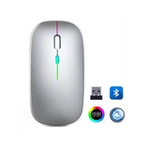 ZR215 Cba100 Rgb Gümüş Şarjlı Mouse - 1