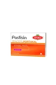 OTACI Pastisin Zencefil Portakal 24 Pastil - 1