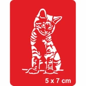 Güzel Kedi Tekir Tattoo Geçici Dövme Şablonları Kına Kalıpları thumbnail 1