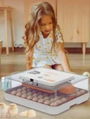 Evonest 56 Yumurtalık Kuluçka Makinesi | Turuncu Model - 4