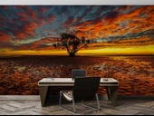 Bulut Ağaç Günbatımı Manzaralı Duvar Kağıdı thumbnail 4