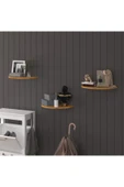 Doğal Modern Organizer Düzenleyici 3'lü Oval Dekoratif Kitaplık Banyo Mutfak Duvar Rafı  Petra thumbnail 2