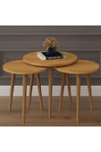 3’lü YUVARLAK ZİGON SEHPA AHŞAP AYAKLI  PETRA thumbnail 2