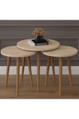 3’lü YUVARLAK ZİGON SEHPA AHŞAP AYAKLI  SONOMA thumbnail 1