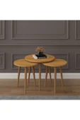 3’lü YUVARLAK ZİGON SEHPA AHŞAP AYAKLI  PETRA thumbnail 1