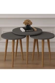 3’lü YUVARLAK ZİGON SEHPA AHŞAP AYAKLI  ANTRASİT thumbnail 2