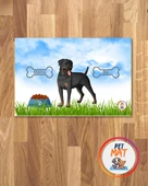 Petmat Kedi Mama Paspası , Kaymaz Taban , Yıkanabilir , Evcil Hayvan Paspası 1002-M - 1