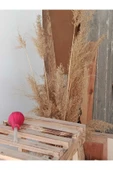 DMR GÜVERCİN YEM POMPASI - 2