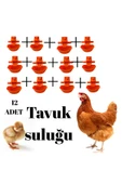 DMR 12 Adet güvercin tavuk civciv akıllı otomatik suluk - 2