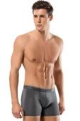 ERDEM İÇ GİYİM Erdem Füme-gri-lacivert 3'lü Basic Boxer 1491 thumbnail 1