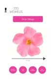 Weweus Kadın Hawai Stili Pembe Çiçek Premium Toka - 4