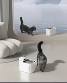 Petkit Eversweet Max Akıllı Su Pınarı  667004203 - 4