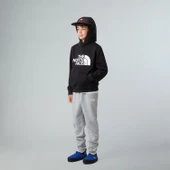 The North Face TEEN DREW PEAK PULLOVER HOODIE Genç Çocuk Sweatshirt NF0A8EHHJK31 thumbnail 3