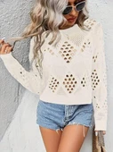 Kadın Uzun Kollu Yuvarlak Yaka Delik Desenli Triko Bluz thumbnail 1
