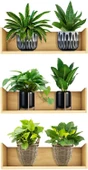 3B Trend 3 adet Bitki Tasarım Duvar Sticker Bitki Saksı Desen Duvar Çıkartması Duvar Dekorasyonu thumbnail 1