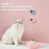 TİNEKE  Catnipli Yenilebilir Kedi Nanesi Otu Yalama Oyun Topu Oyuncağı Yengeç thumbnail 4