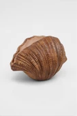 Mira Ahşap Dokulu Seramik Midye Vazo (29x20 cm) thumbnail 4