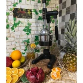 1800 Meyve Presi (Professıonal Dropper Type Fruıt Press) thumbnail 3