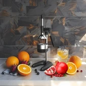 1705 Meyve Presi (Professıonal Draıner Type Fruıt Press) thumbnail 2