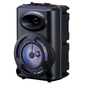 Zore GD-903 Dijital LED Göstergeli FM Radyolu Mikrofonlu RGB TWS 8 inç Stereo Bass Kablosuz Karaoke Hoparlör - 2