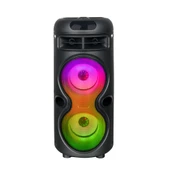 Zore GD-2402 Dijital LED Göstergeli FM Radyolu Mikrofonlu RGB TWS Çift 4 inç Stereo Bass Kablosuz Karaoke Hoparlör - 4