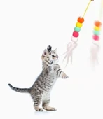 CEYLAN ADAM  Elastik Kendinden Yapışkanlı Solucan Kedi Oltası - 3
