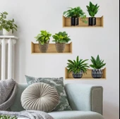 CEYLAN ADAM  Raflı Bitki Tasarımlı Yapışkanlı Sticker 20*30 cm 3lü Set MC-663 thumbnail 1