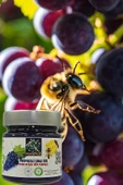 Aşıkzade Propolisli Şiraz Özü 255ml 280g - 2