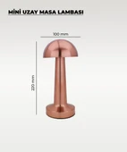 Rose Mantar Masa Lambası - Dokunmatik - 3 Renk Işık - 2