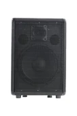 Lastvoice LPM-10 Ahşap Profesyonel Kabin Hoparlör 10 inç 450W - 2