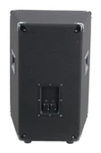 Lastvoice LPM-12 Ahşap Profesyonel Kabin Hoparlör 12 inç 800W - 3