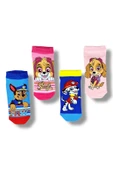PAW PATROL Lisanslı Erkek Çocuk 4 Çift Patik Çorap 22854 thumbnail 1