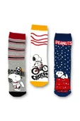 PEANUTS Snoopy Lisanslı Erkek Çocuk 3 Çift Havlu Soket Çorap 21605 thumbnail 1
