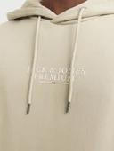 Jack Jones Erkek  Regular Fit Kanguru Cepli Yumuşak Dokulu Krem Kapüşonlu Sweatshirt 12216335KR - 4