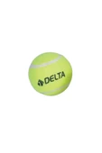 Delta Başlangıç Seviye Antrenman veya Kedi Köpekler İçin 1 Adet Basit Tenis Topu - 1