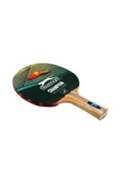 Slazenger Champion Ittf Onaylı Masa Tenisi Raketi - 4