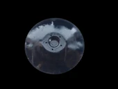 DOĞANLAR DİSK SACI 610 DÜZ thumbnail 2