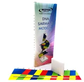 Misyon Dna Sarmalı Modeli Seti - 2 adet - 1