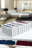 8 Bölmeli  XL Pratik Bölmeli Çekmece Düzenleyici Organizer(İç Çamaşırı Kravat Çorap Düzenleyici) thumbnail 2