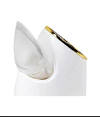 Nascita Yüz Buhar Makinesi - 3