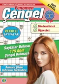 Fenomen Çengel Bulmaca 12 - 1