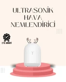 USB Şarjlı Mini USB Nemlendirici LED Işıklı Masaüstü Cihaz thumbnail 1