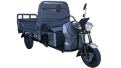 Apec APT4 1000 W 3 Tekerlekli Elektrikli Motosiklet Gri - 1