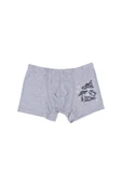 Erkek Çocuk Pamuklu 5'li Baskılı Boxer thumbnail 8