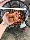 Kadıoğlu Cks80 80 Litre 60 Kg Ceviz Soyma Makinesi Sabit Devirli - 4