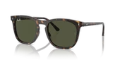 Ray-Ban 2210 902/31 Havana-Green Güneş Gözlüğü - 1