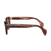Ray-Ban 0880S 954/51 Striped Havana-Brown Güneş Gözlüğü thumbnail 2