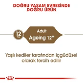 Royal Canin Ageing 12+ Gravy Pouch Yaşlı Kedi Yaş Maması 85 Gr thumbnail 7