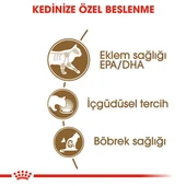 Royal Canin Ageing 12+ Gravy Pouch Yaşlı Kedi Yaş Maması 85 Gr thumbnail 6